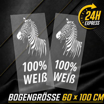 DTF Transfer 100% Weiß - 1 Lfm 60x100cm Express