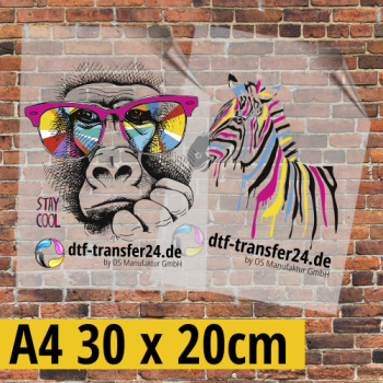 DTF Transfer A4