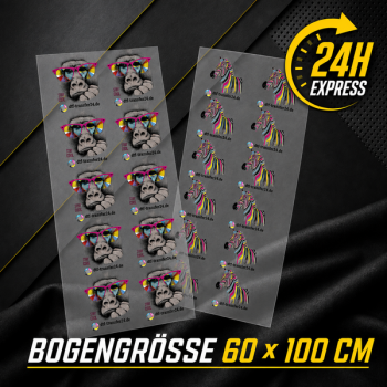 DTF Transfer 1 Lfm - 60x100cm Express