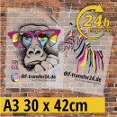 DTF Transfer DIN A3 - Express